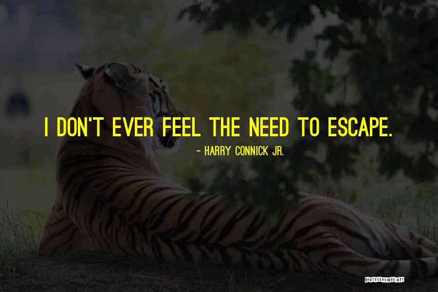 Durmadan Devam Quotes By Harry Connick Jr.