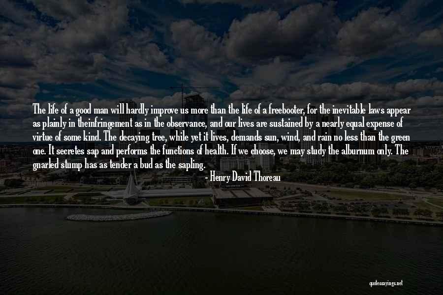 Durrer Family Quotes By Henry David Thoreau Durrer Family Quotes By Henry David Thoreau