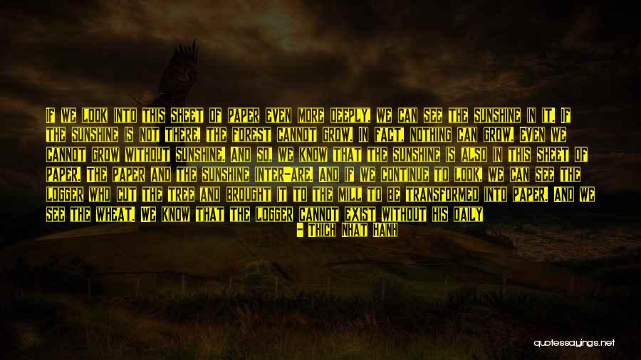 Durriya Quotes By Thich Nhat Hanh Durriya Quotes By Thich Nhat Hanh