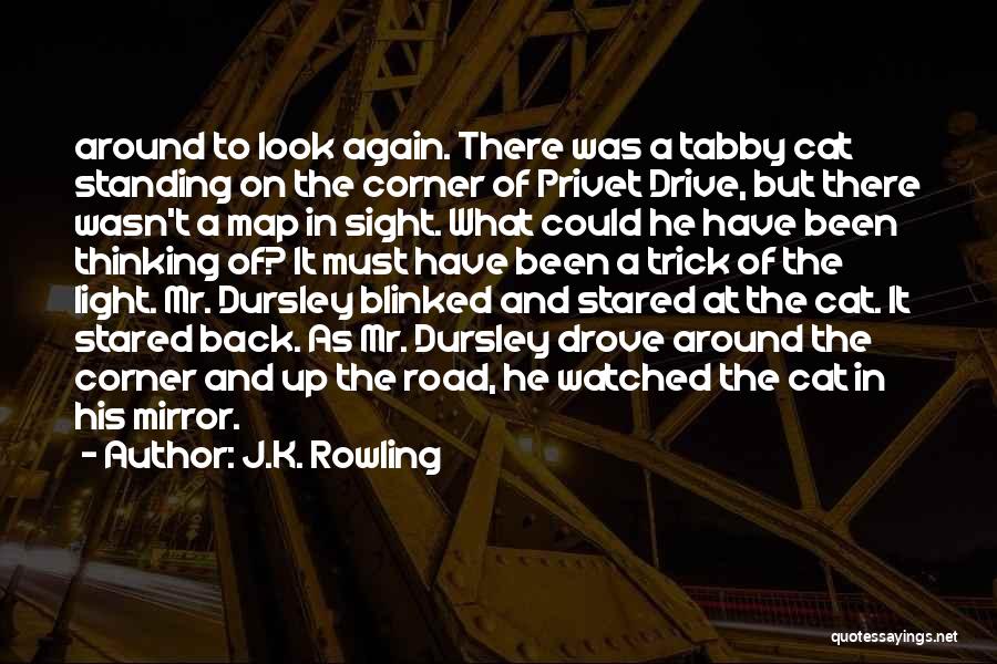 Dursley Quotes By J.K. Rowling