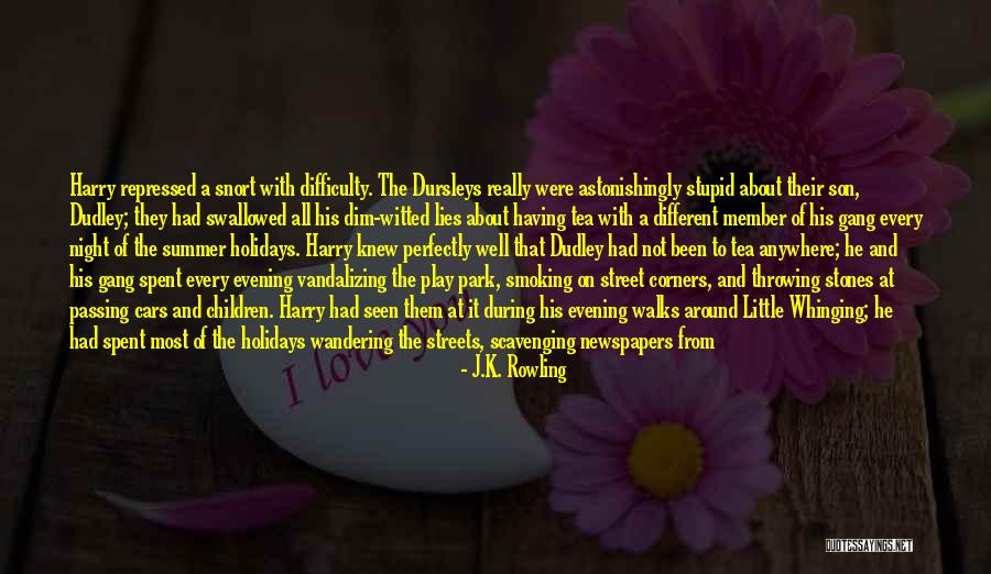 Dursleys Harry Quotes By J.K. Rowling Dursleys Harry Quotes By J.K. Rowling