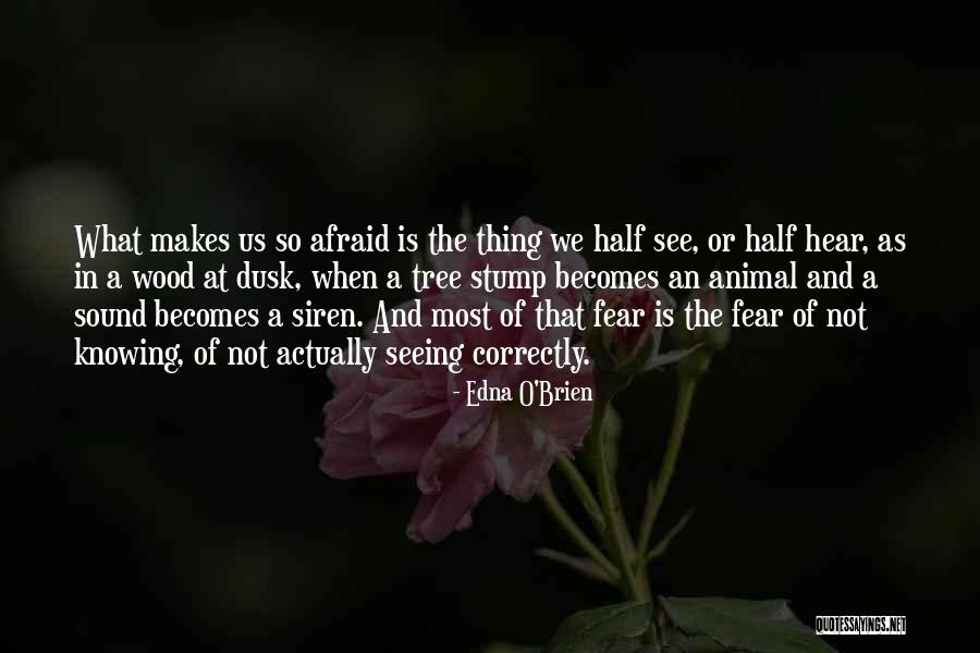 Dursleys Home Quotes By Edna O'Brien Dursleys Home Quotes By Edna O'Brien