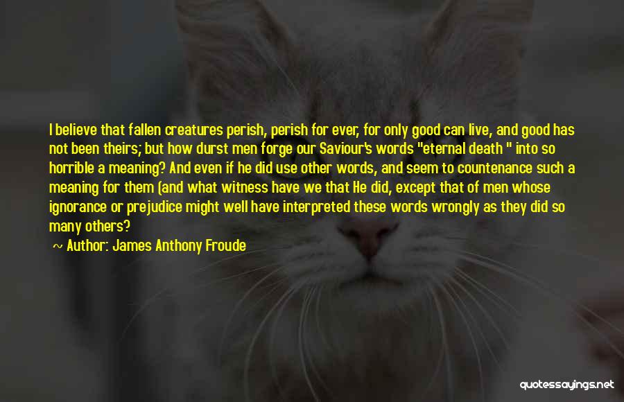 Durst Quotes By James Anthony Froude