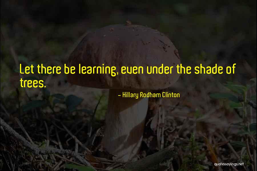 Durutti Quotes By Hillary Rodham Clinton Durutti Quotes By Hillary Rodham Clinton