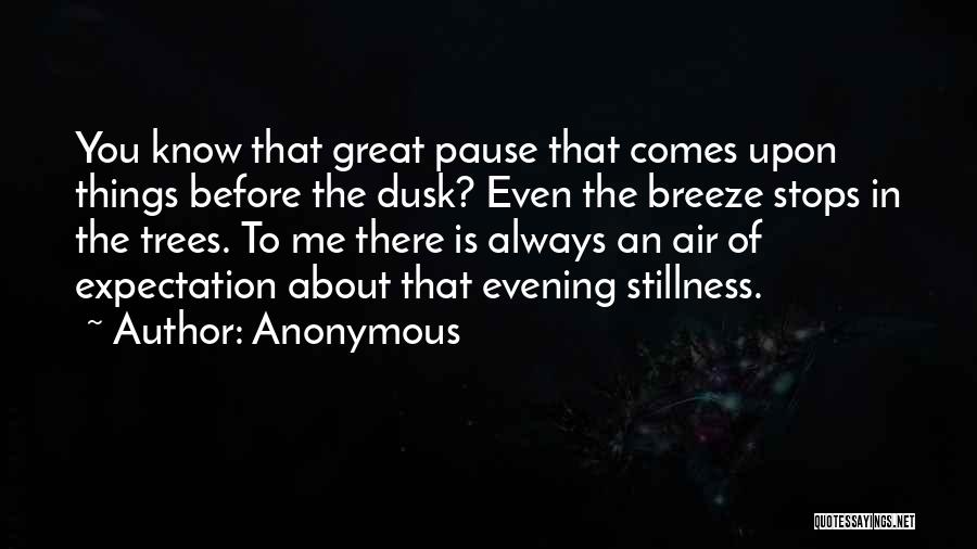 Dusk Quotes By Anonymous