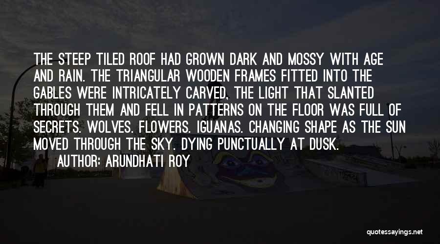 Dusk Quotes By Arundhati Roy