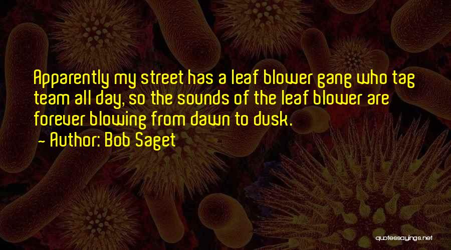 Dusk To Dawn Quotes By Bob Saget