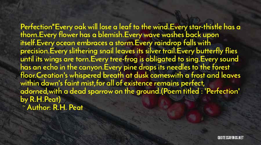 Dusk To Dawn Quotes By R.H. Peat