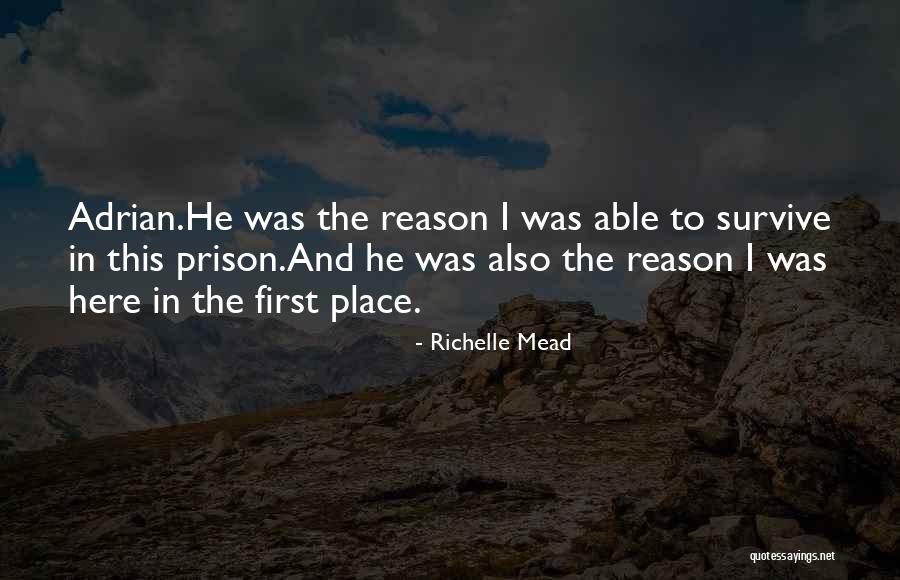 Dust Bunny Quotes By Richelle Mead Dust Bunny Quotes By Richelle Mead