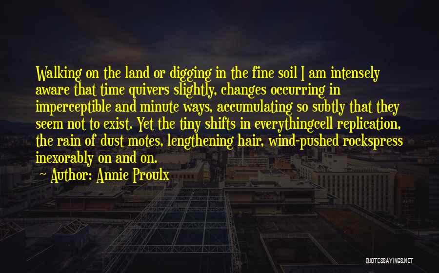 Dust In The Wind Quotes By Annie Proulx