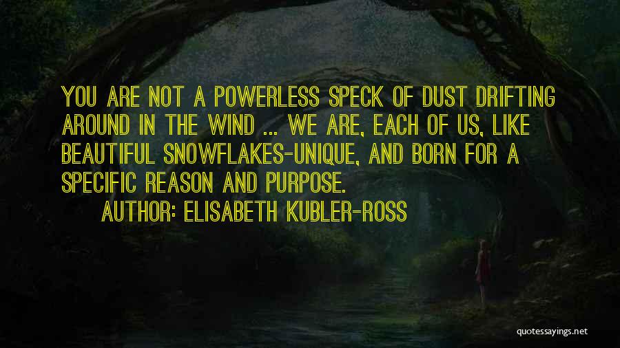 Dust In The Wind Quotes By Elisabeth Kubler-Ross