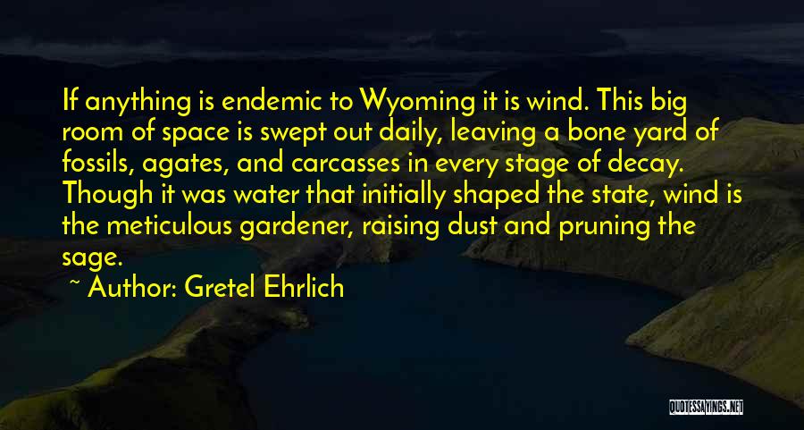 Dust In The Wind Quotes By Gretel Ehrlich