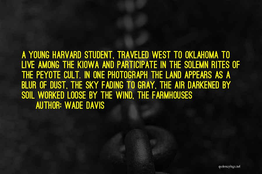 Dust In The Wind Quotes By Wade Davis