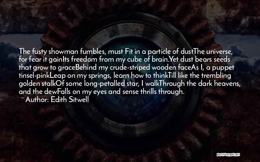 Dust Particle Quotes By Edith Sitwell