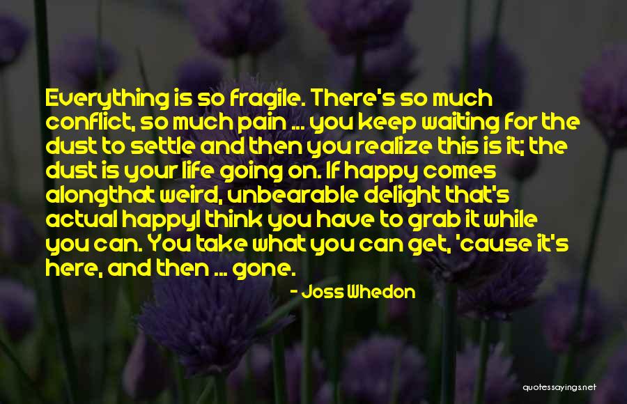 Dust Settle Quotes By Joss Whedon