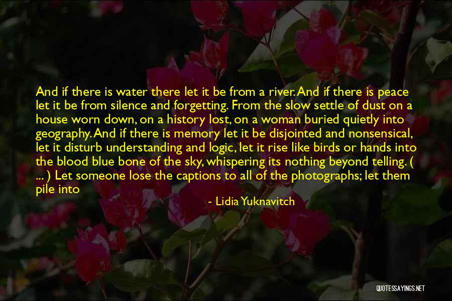 Dust Settle Quotes By Lidia Yuknavitch