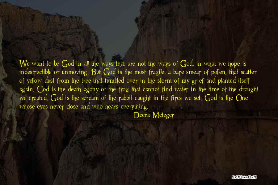 Dust Storm Quotes By Deena Metzger Dust Storm Quotes By Deena Metzger