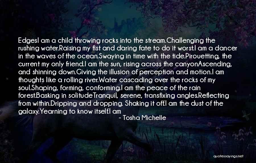 Dust Storm Quotes By Tosha Michelle Dust Storm Quotes By Tosha Michelle