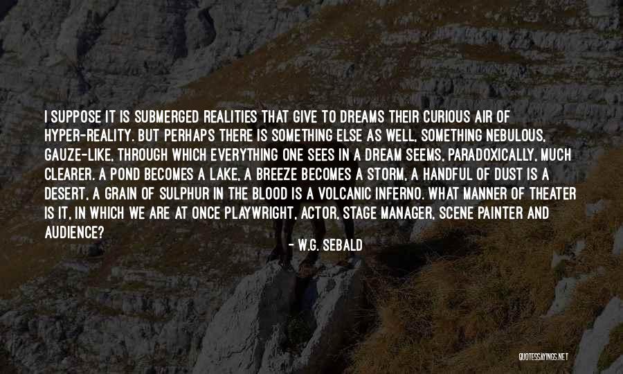 Dust Storm Quotes By W.G. Sebald Dust Storm Quotes By W.G. Sebald