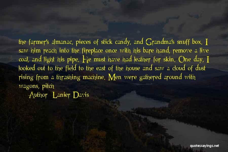 Dust To Dust Quotes By Lanier Davis