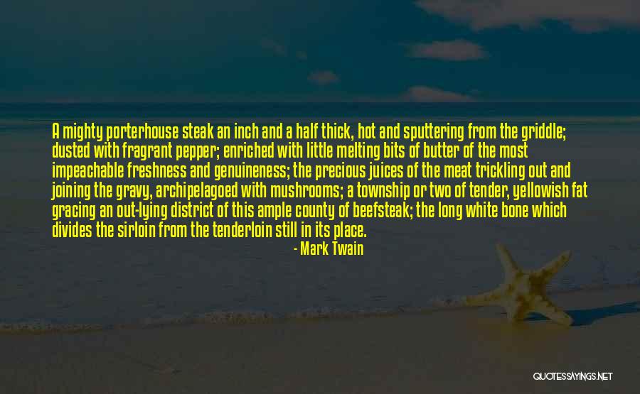 Dusted Quotes By Mark Twain Dusted Quotes By Mark Twain