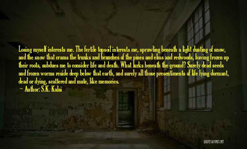 Dusting Quotes By S.K. Kalsi