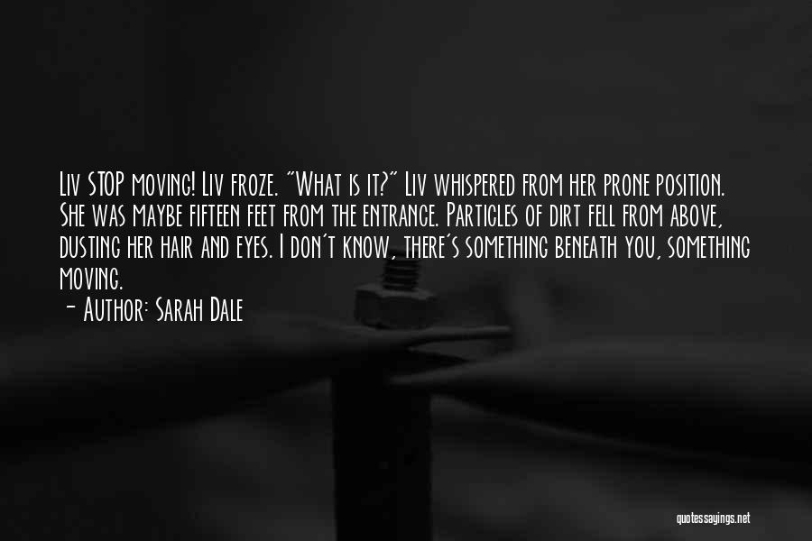 Dusting Yourself Off Quotes By Sarah Dale