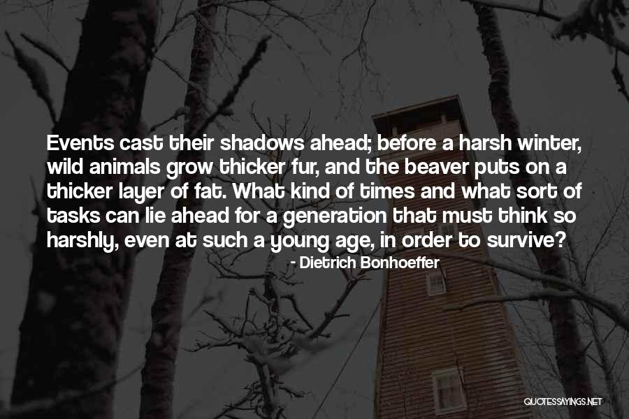 Dustpan Dormer Quotes By Dietrich Bonhoeffer