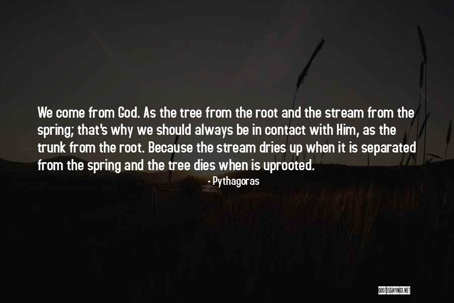 Dustpelt Family Tree Quotes By Pythagoras Dustpelt Family Tree Quotes By Pythagoras