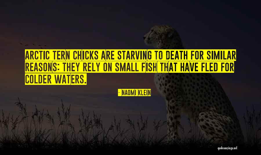 Dustpelts Kits Quotes By Naomi Klein Dustpelts Kits Quotes By Naomi Klein