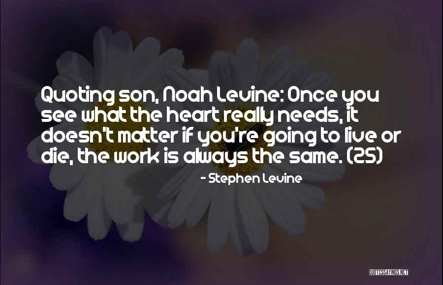 Dusty Rhodes Famous Quotes By Stephen Levine Dusty Rhodes Famous Quotes By Stephen Levine