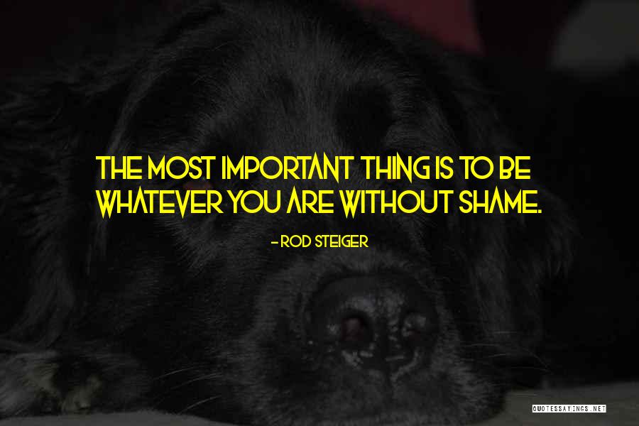 Dutack Quotes By Rod Steiger Dutack Quotes By Rod Steiger