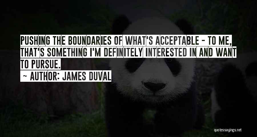 Duval Quotes By James Duval