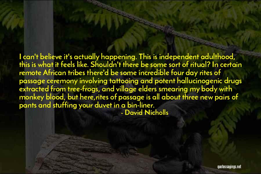 Duvet Day Quotes By David Nicholls Duvet Day Quotes By David Nicholls