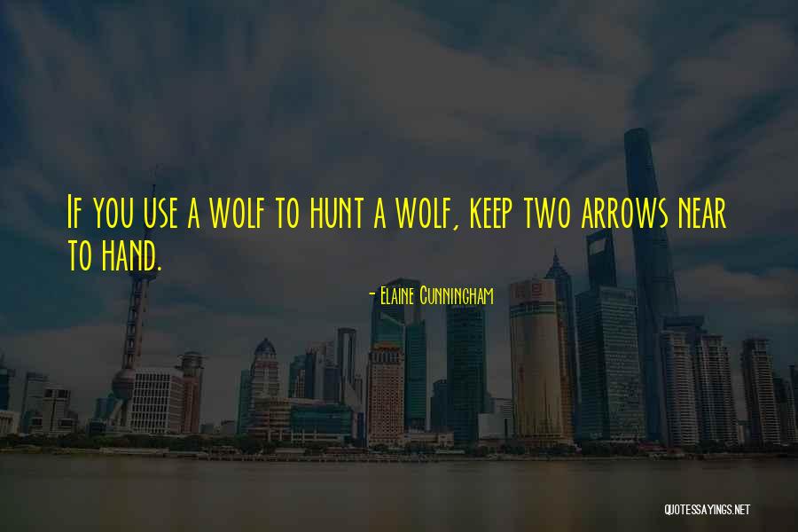 Duvier Pte Quotes By Elaine Cunningham Duvier Pte Quotes By Elaine Cunningham