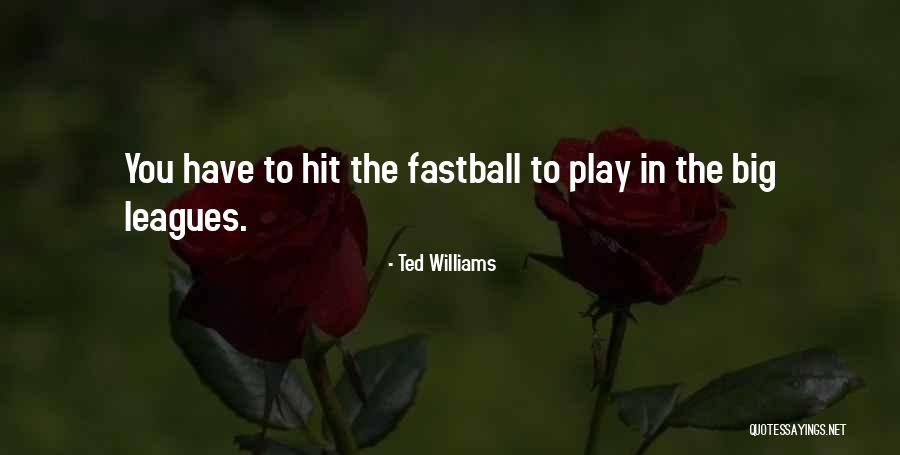 Duvnjak Wikipedia Quotes By Ted Williams