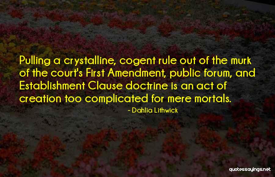 Duvvuri Subbamma Quotes By Dahlia Lithwick Duvvuri Subbamma Quotes By Dahlia Lithwick