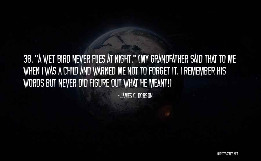 Dva Put Quotes By James C. Dobson Dva Put Quotes By James C. Dobson