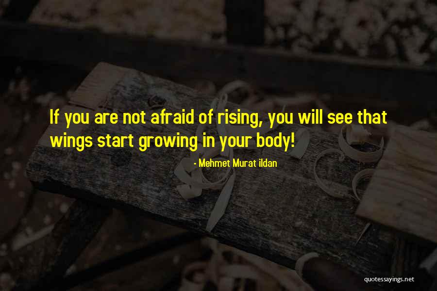 Dvesta Dinara Quotes By Mehmet Murat Ildan Dvesta Dinara Quotes By Mehmet Murat Ildan