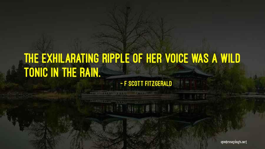 Dvf Quotes By F Scott Fitzgerald Dvf Quotes By F Scott Fitzgerald