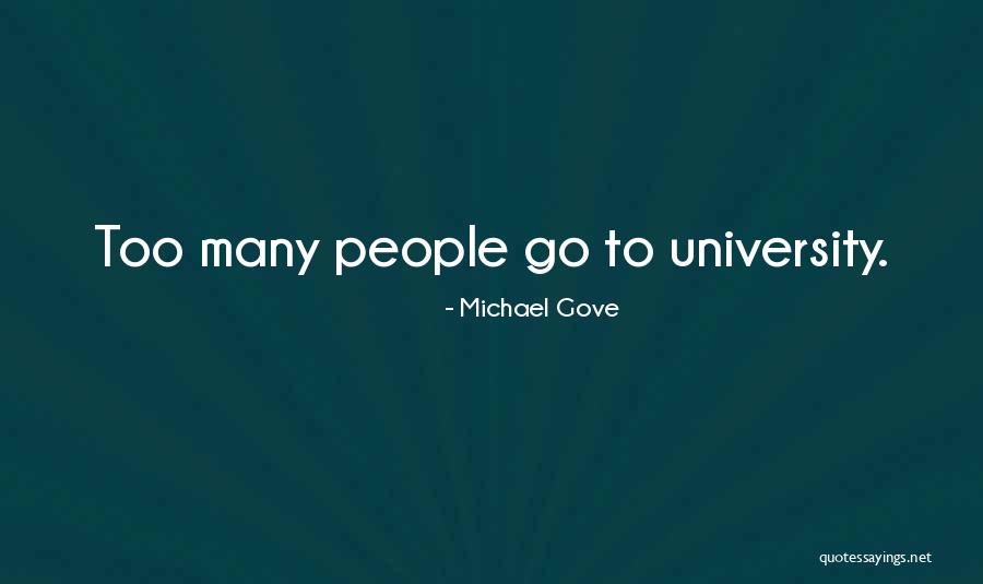 Dvida Certification Quotes By Michael Gove Dvida Certification Quotes By Michael Gove