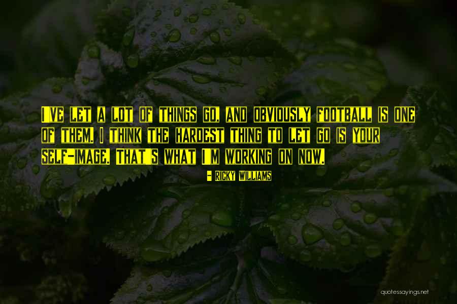 Dvorkin Howard Quotes By Ricky Williams Dvorkin Howard Quotes By Ricky Williams