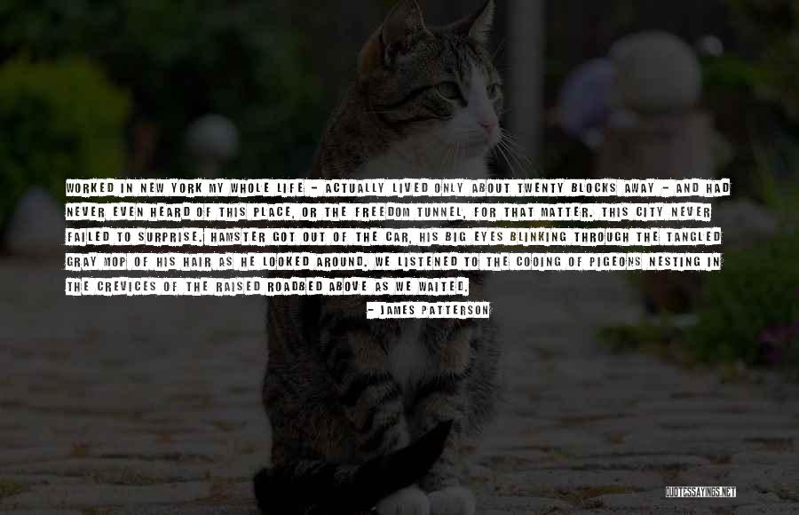 Dvostruko Ubistvo Quotes By James Patterson Dvostruko Ubistvo Quotes By James Patterson