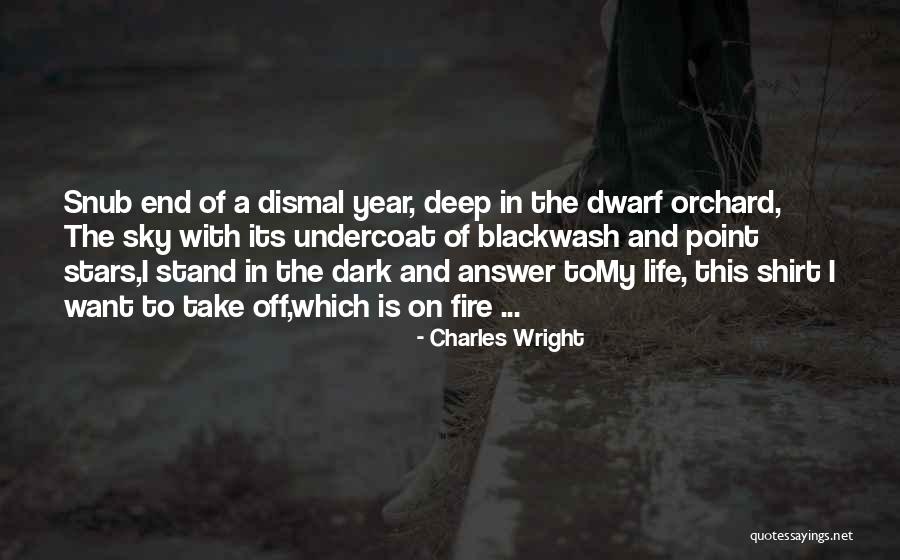 Dwarf Quotes By Charles Wright