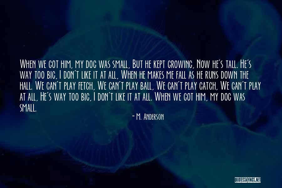 Dwarvish Text Quotes By M. Anderson Dwarvish Text Quotes By M. Anderson