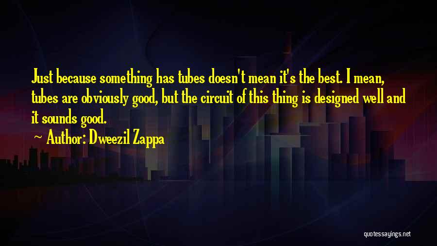 Dweezil Zappa Quotes 567553