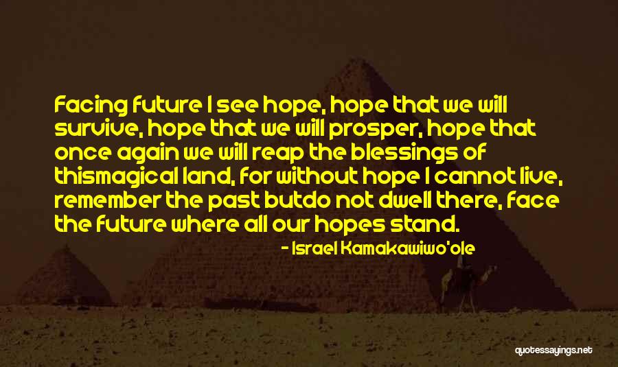 Dwell On These Things Quotes By Israel Kamakawiwo'ole Dwell On These Things Quotes By Israel Kamakawiwo'ole