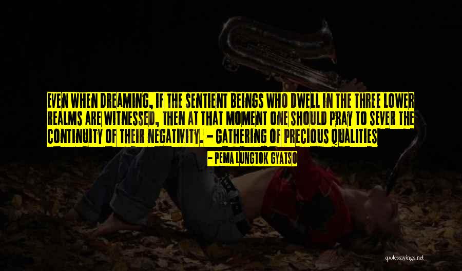 Dwell On These Things Quotes By Pema Lungtok Gyatso Dwell On These Things Quotes By Pema Lungtok Gyatso