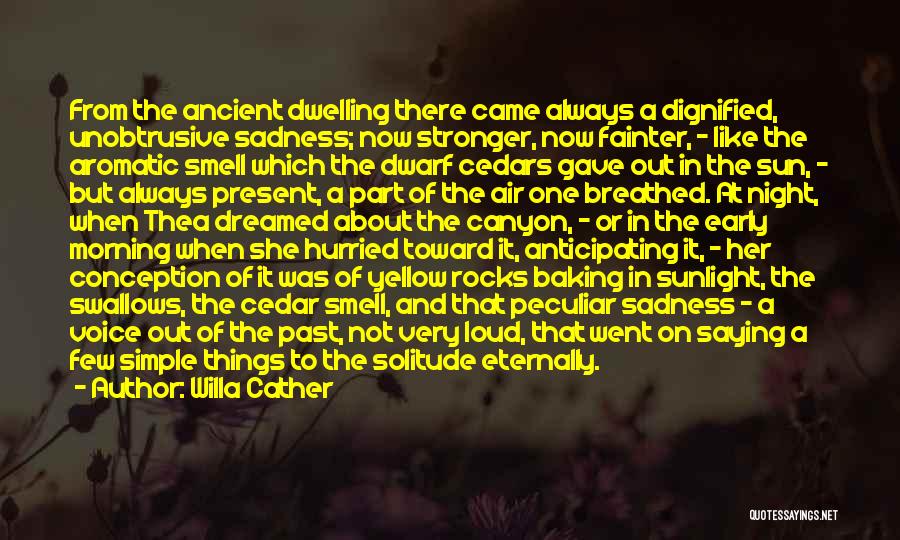 Dwelling On Things Quotes By Willa Cather