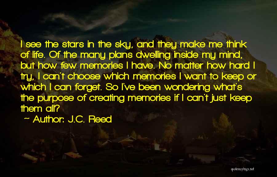 Dwelling On What Could Have Been Quotes By J.C. Reed